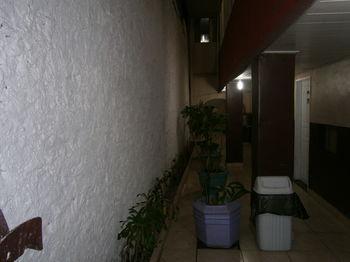Hotel Albatroz Μανάους Εξωτερικό φωτογραφία